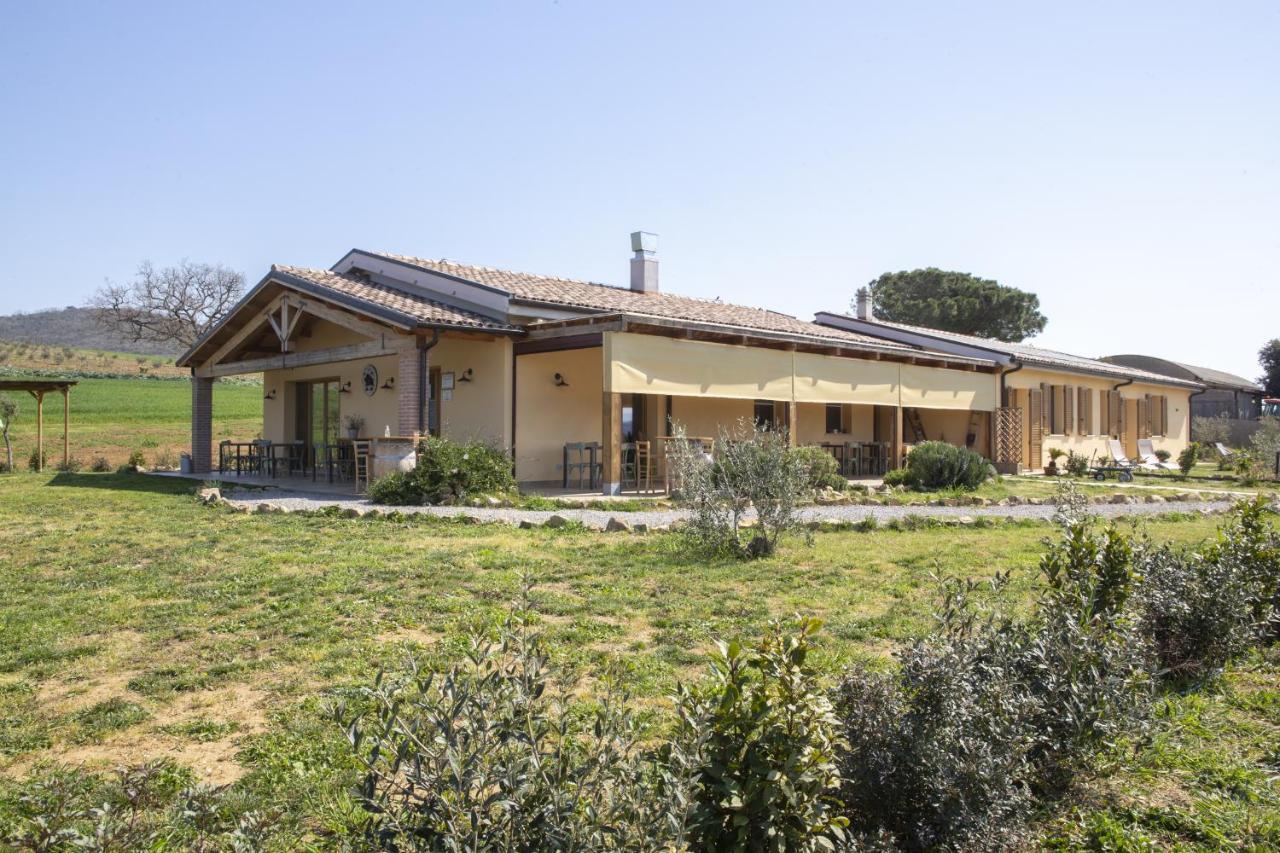 Villa Agriturismo Casa Ricci Magliano in Toscana Exterior foto