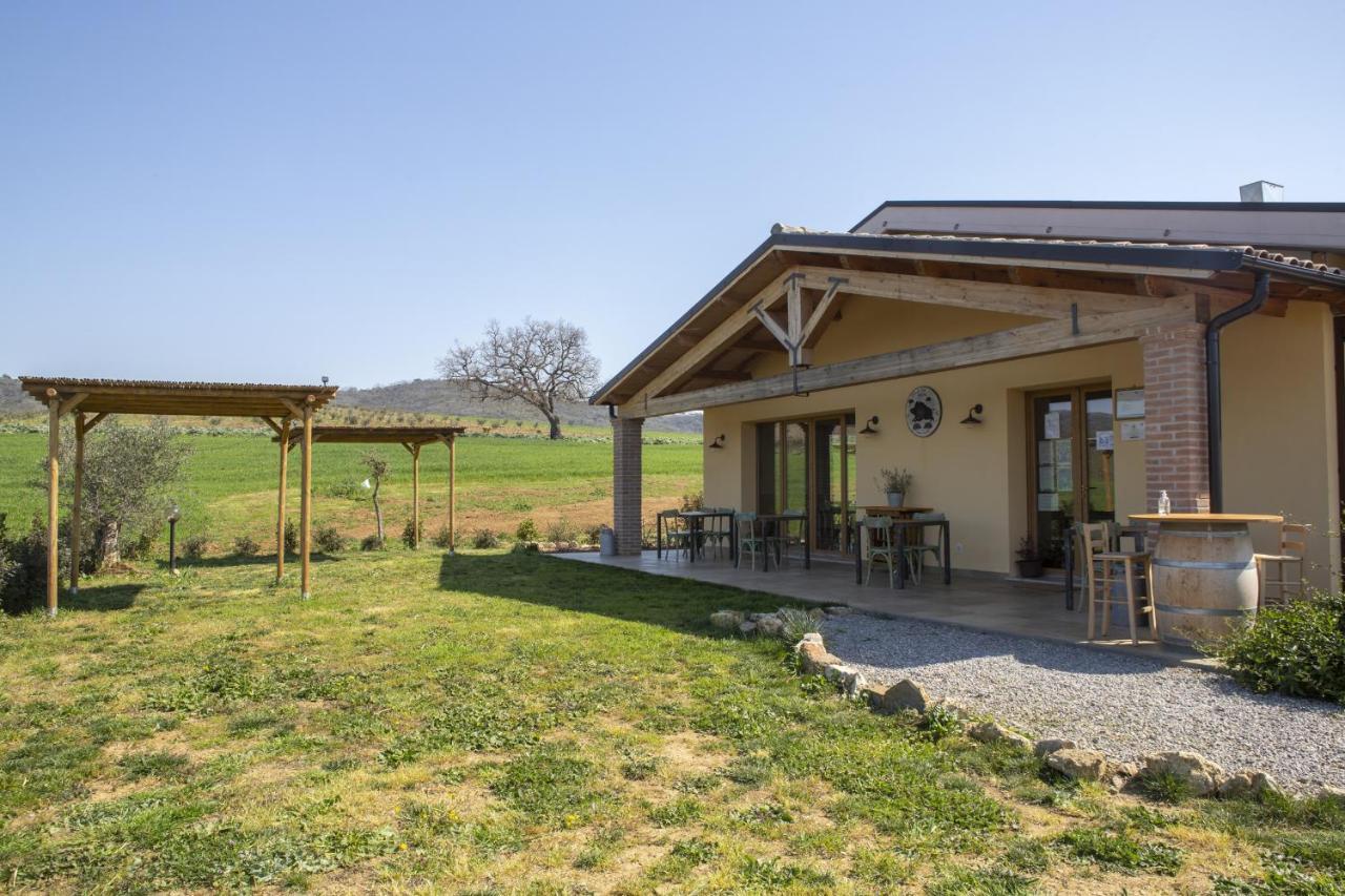 Villa Agriturismo Casa Ricci Magliano in Toscana Exterior foto