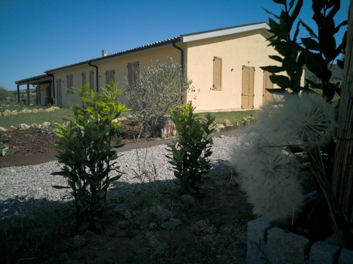 Agriturismo Casa Ricci Magliano in Toscana Exterior foto